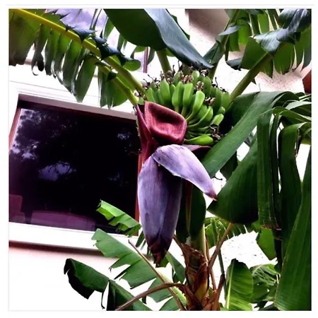 Hotel Meril Club Marmaris (adults Only)