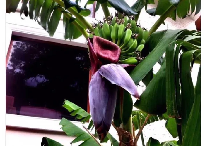 Ξενοδοχείο Meril Club Marmaris (adults Only)